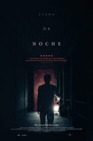 Llega de noche